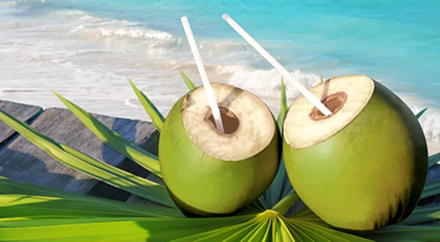 Noce di Cocco: Proprietà, Benefici, Valori Nutrizionali