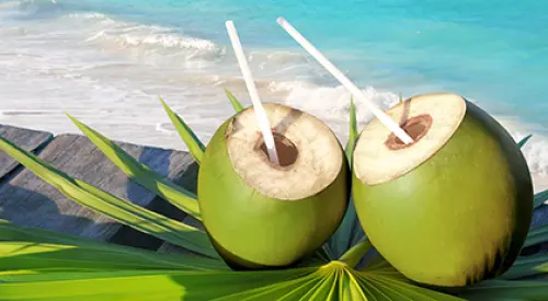 Noce di Cocco: Proprietà, Benefici, Valori Nutrizionali
