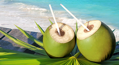 Noce di Cocco: Proprietà, Benefici, Valori Nutrizionali