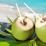 Noce di Cocco: Proprietà, Benefici, Valori Nutrizionali