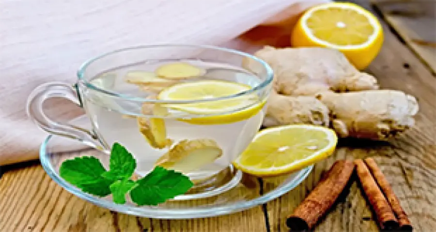 Le migliori tisane dimagranti
