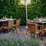 Manutenzione giardino: guida pratica annuale