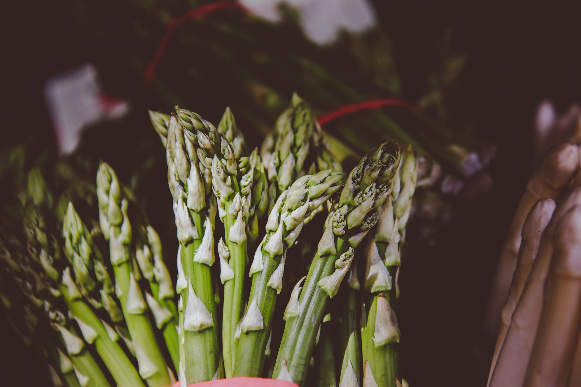 Asparagi: benefici e controindicazioni