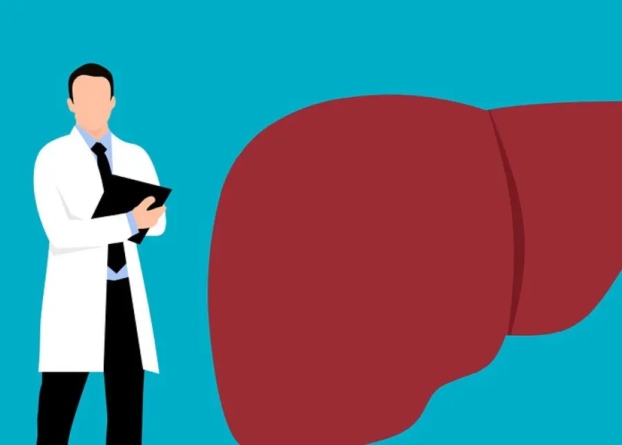 Fegato grosso: cause, dieta e rimedi per trattarlo
