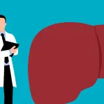 Fegato grosso: cause, dieta e rimedi per trattarlo