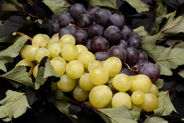 Uva: proprietà e benefici per la dieta