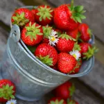Fragole: valori nutrizionali e proprietà benefiche
