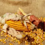 Il Mais fa Ingrassare? Benefici e Calorie